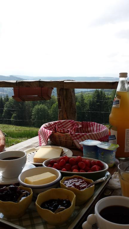 Les Grandes Fontaines Bed and Breakfast La Longine Εξωτερικό φωτογραφία